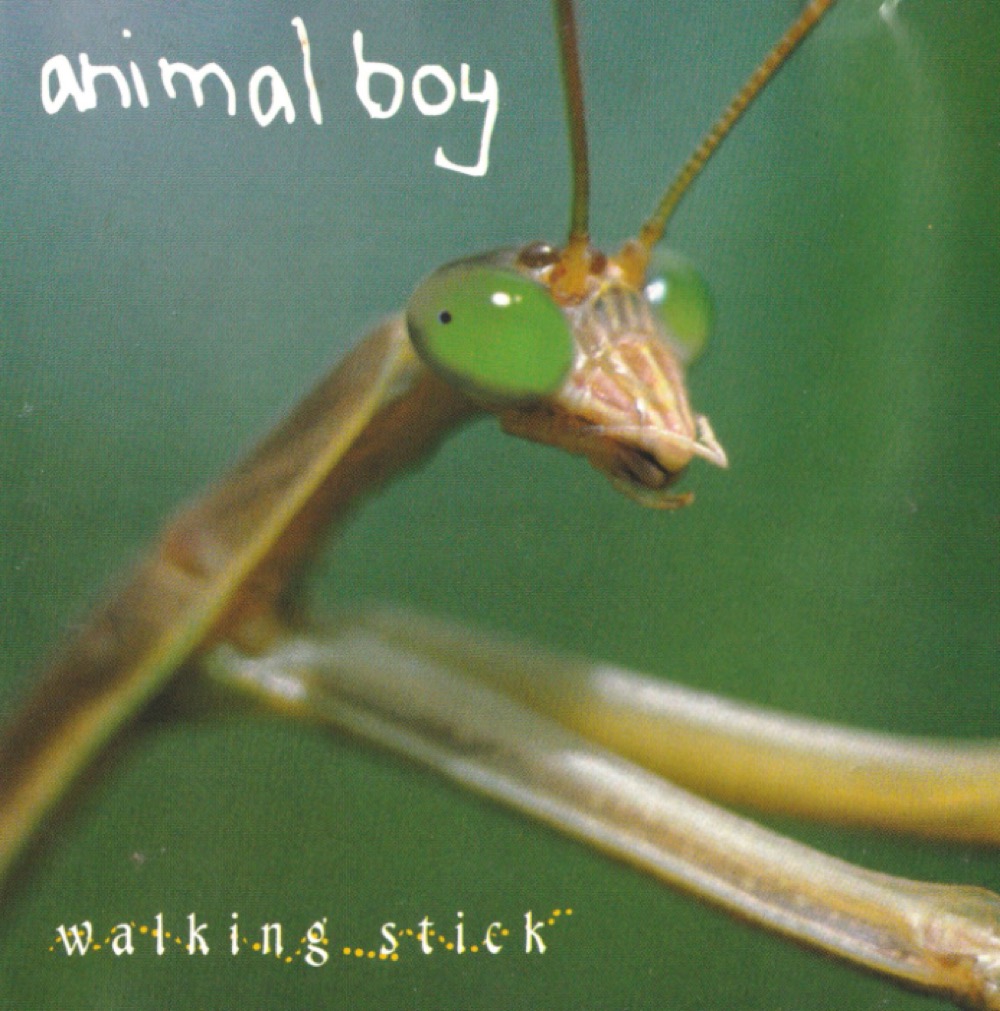 Walking Stick album cover